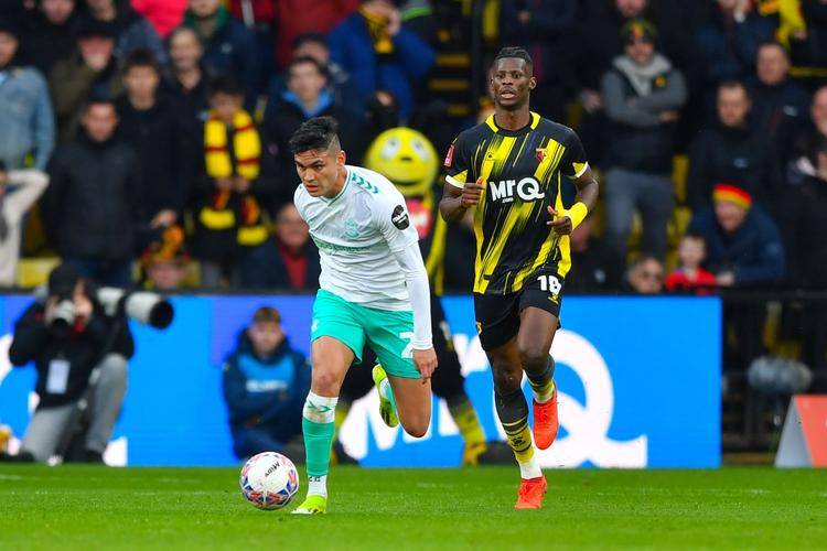 IM电竞官方网站下载app-足球直播迈阿密国际