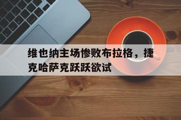 IM电竞官方网站下载-维也纳迅速vs格拉茨风暴
